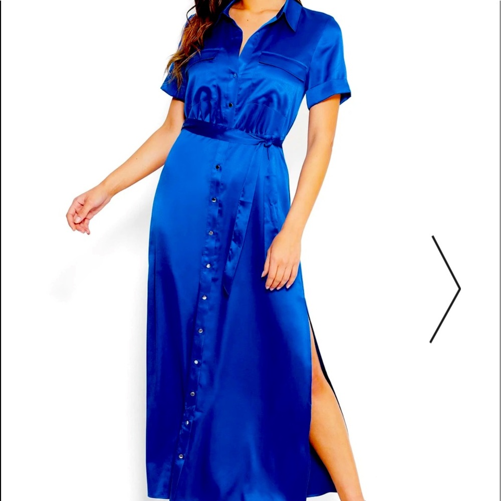 Bebe Silk Maxi dress